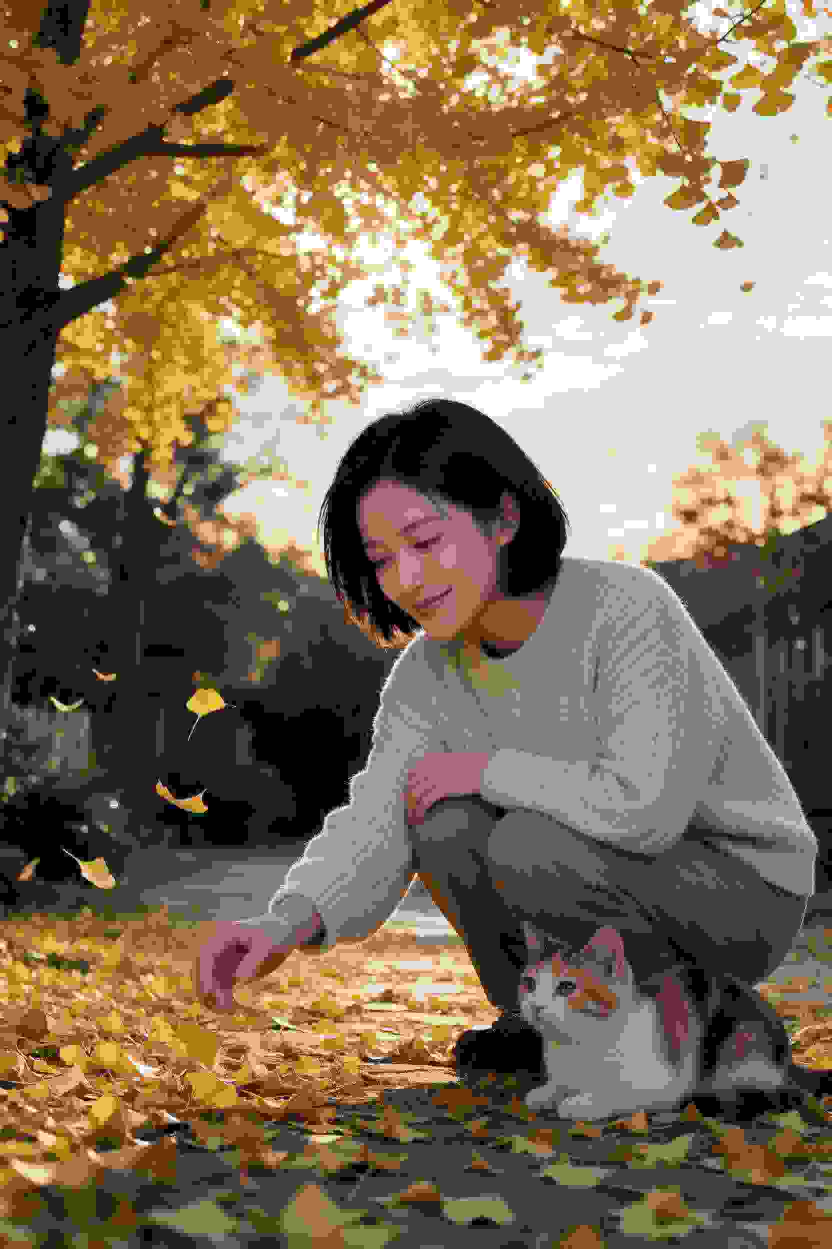命运链接